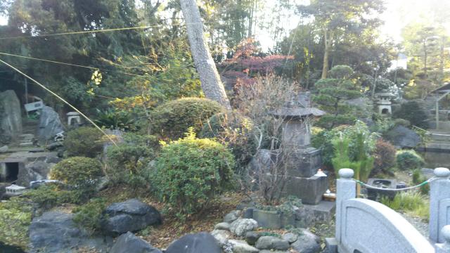 美しい神社の庭