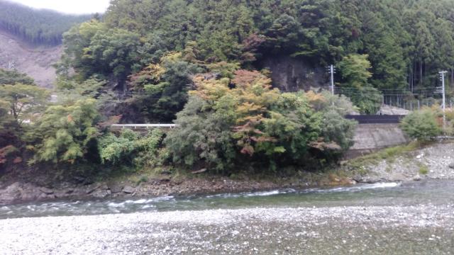 奈良の渓流